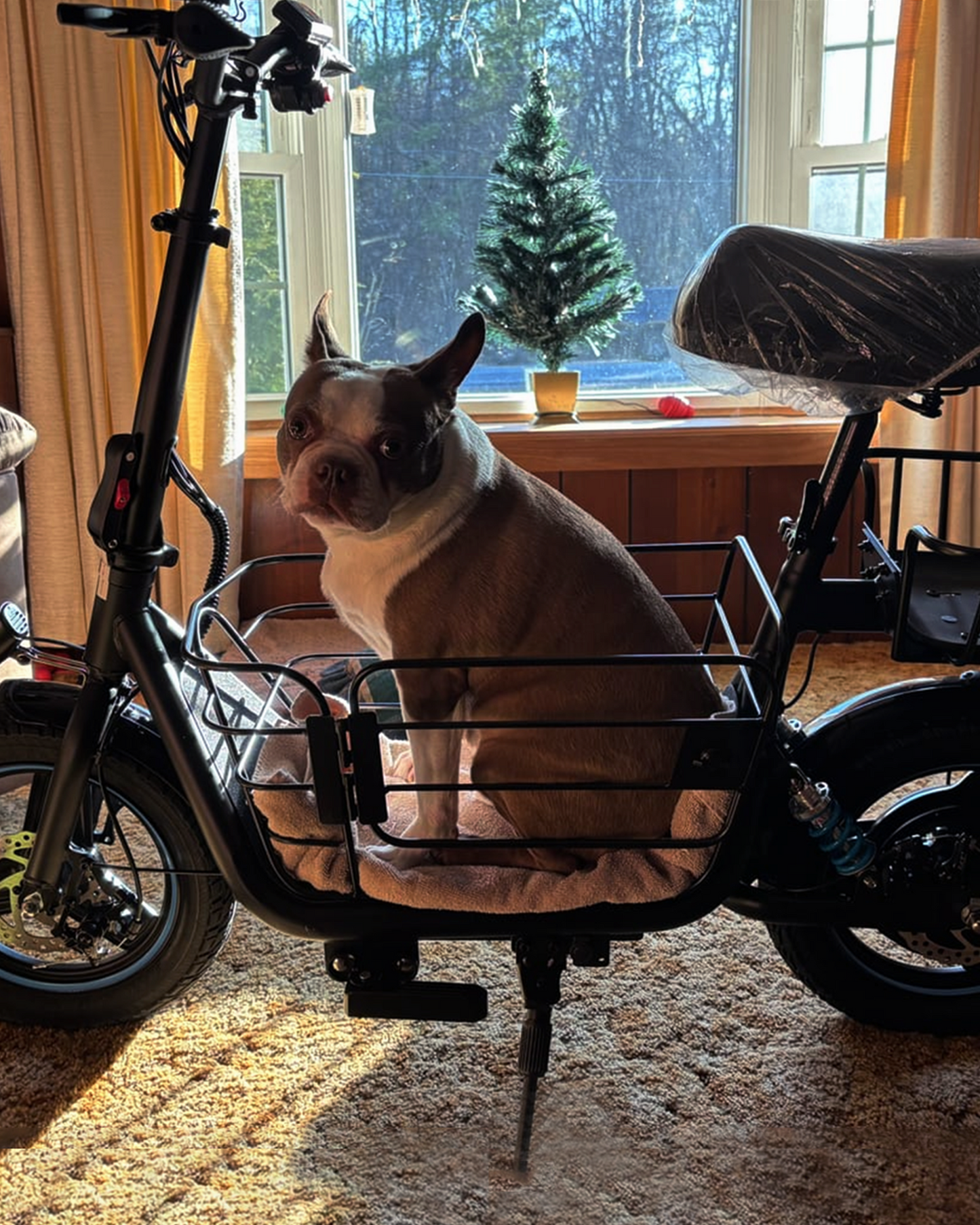 Everyfun C1Plus Electric Scooter 650W With Removeable Two Baskets, Ample Storage for Pets & Cargo-UL2272 Certified