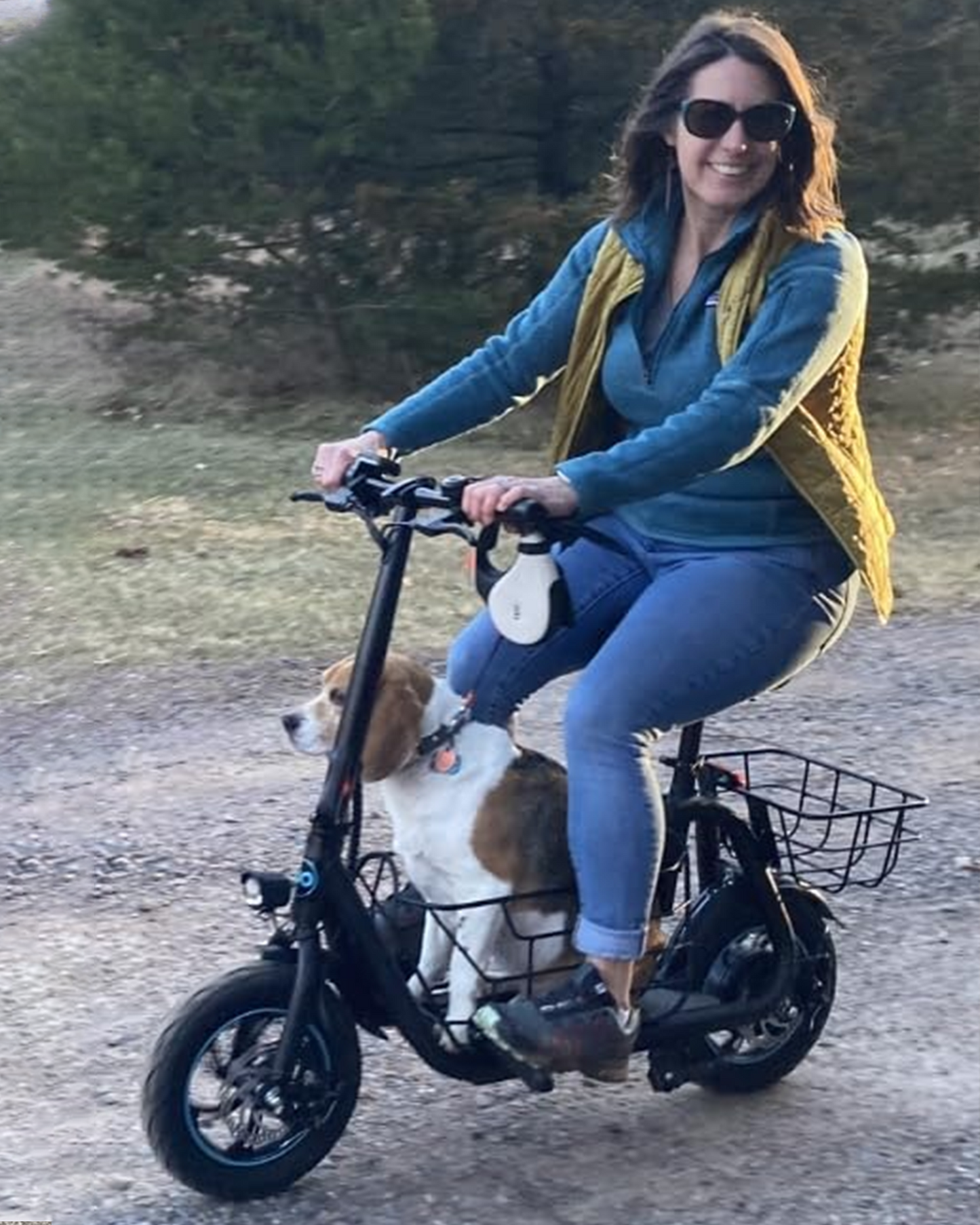 Everyfun C1S 550W Electric Scooter with Removeable Front And Back Basket