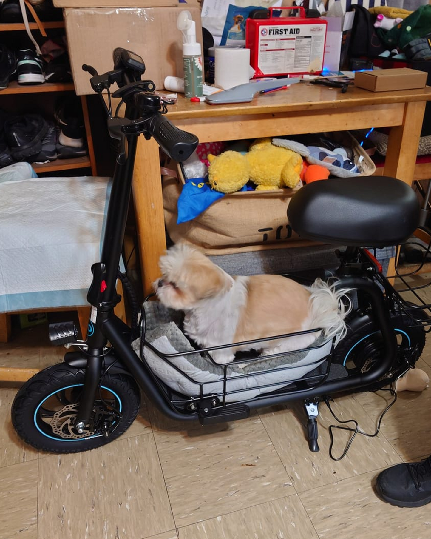 Everyfun C1S 550W Electric Scooter with Removeable Front And Back Basket